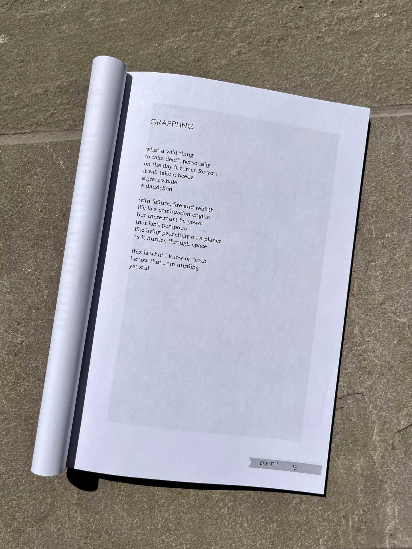 'grappling' Poetry Wall Hanging