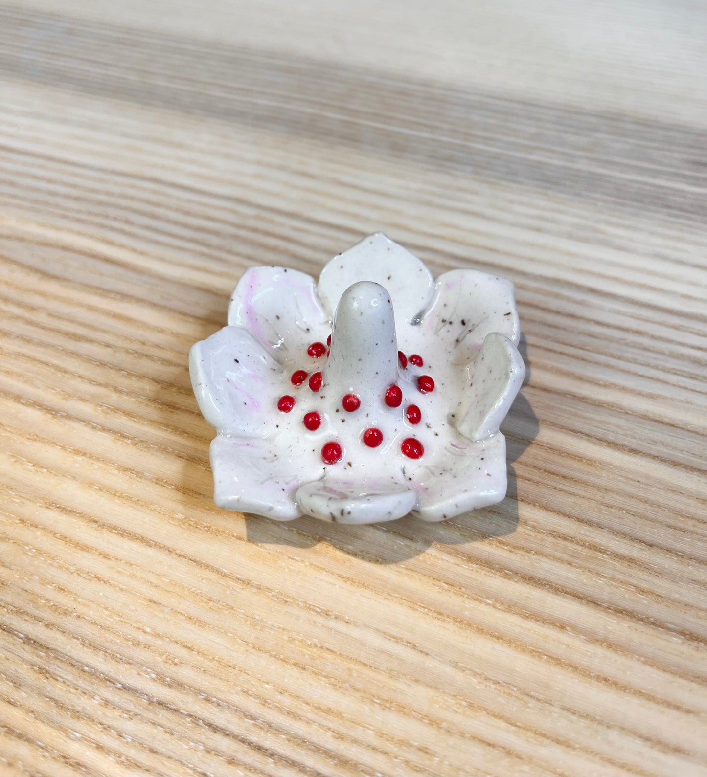 Pale Pink Petals & Bright Red Drops