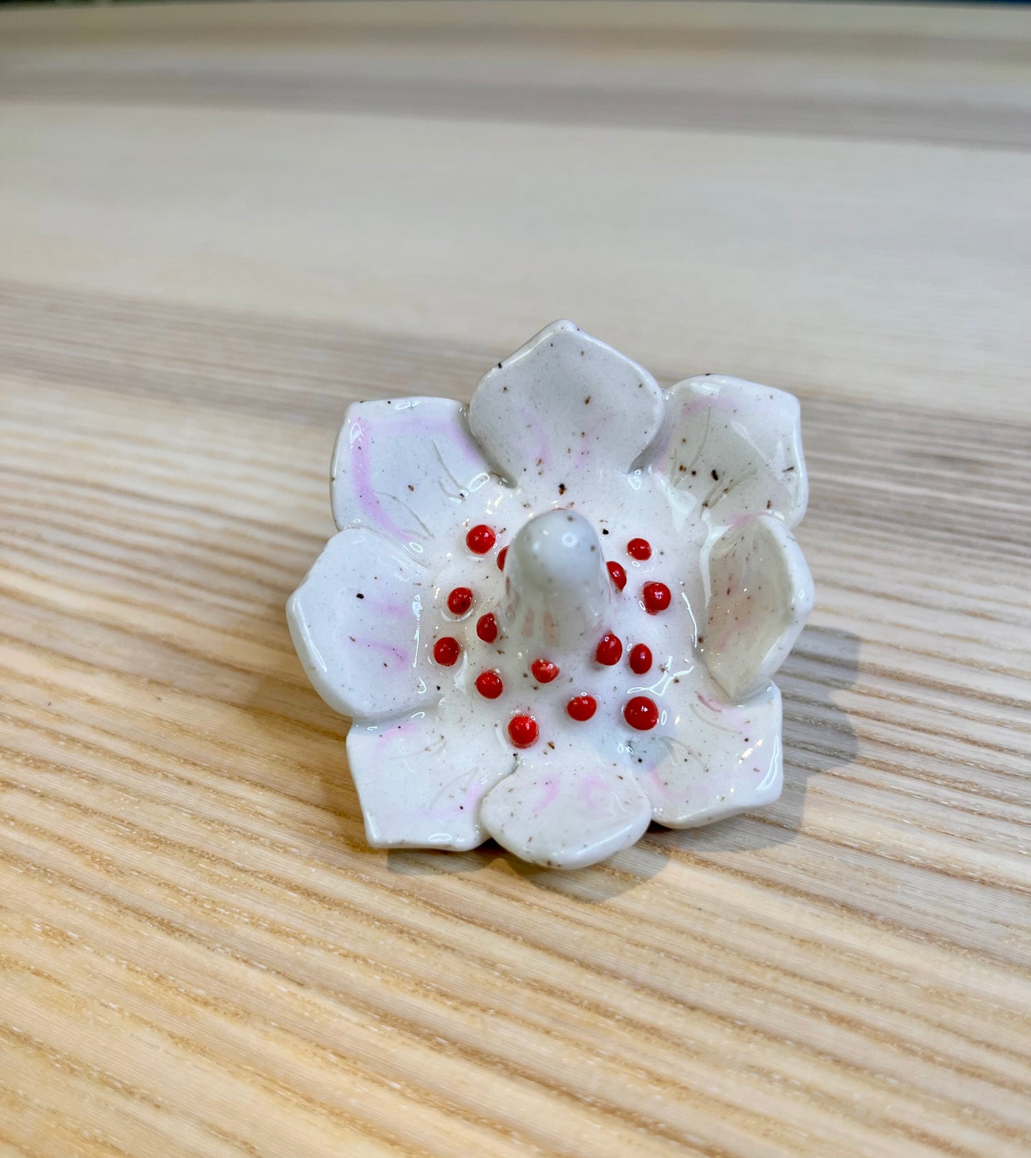 Pale Pink Petals & Bright Red Drops