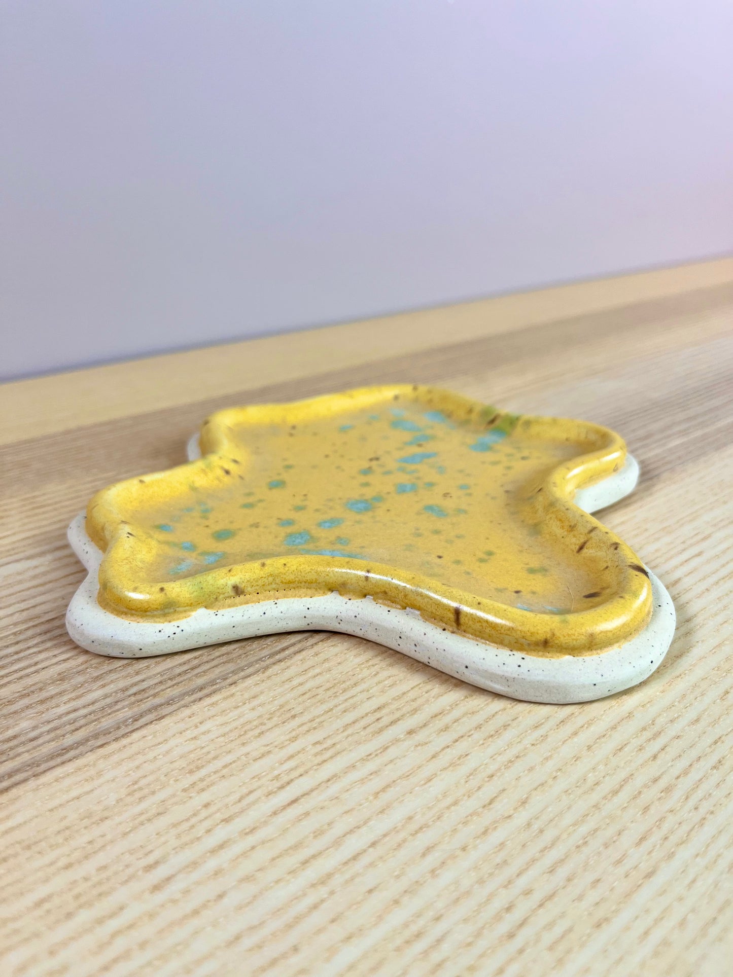 Speckled & Splattered Tray