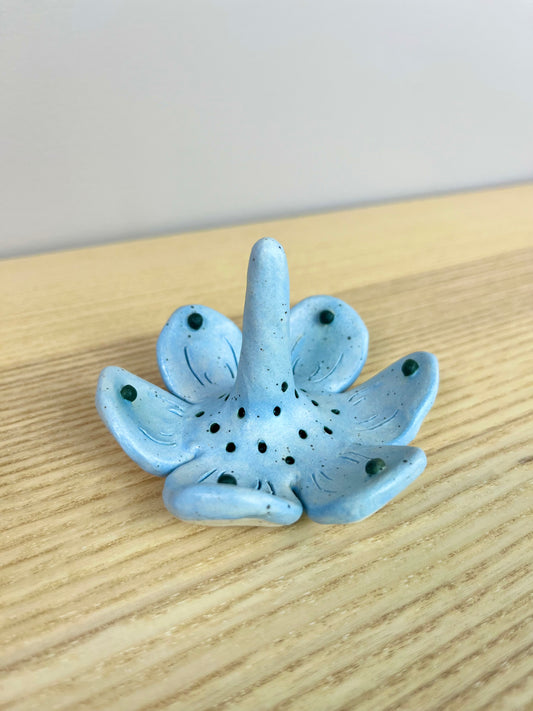 Icy Blue & Very Dark Green