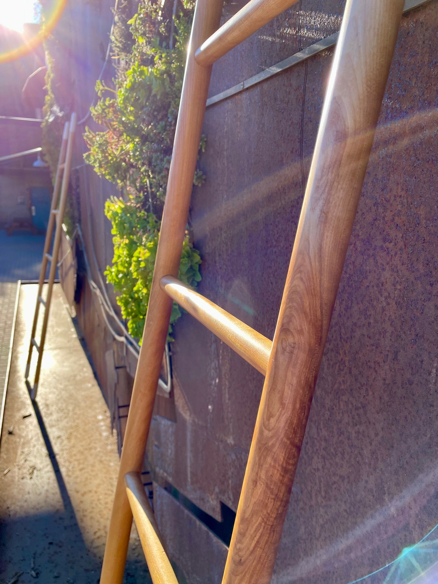 Throw Ladder